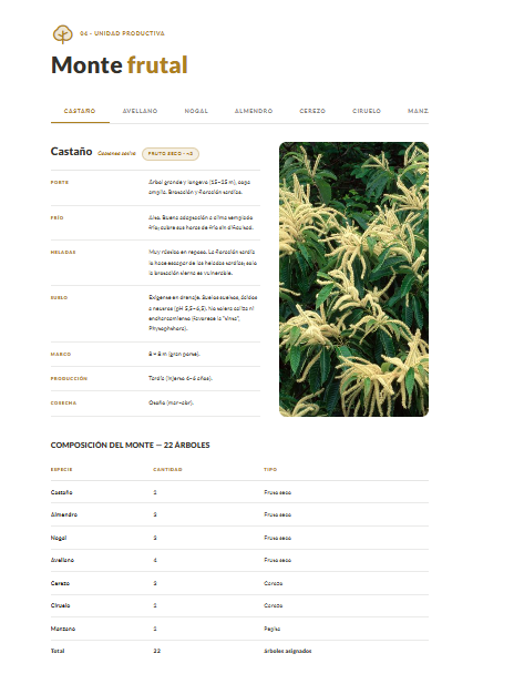 Mockup móvil — presupuesto de diagnóstico desglosado